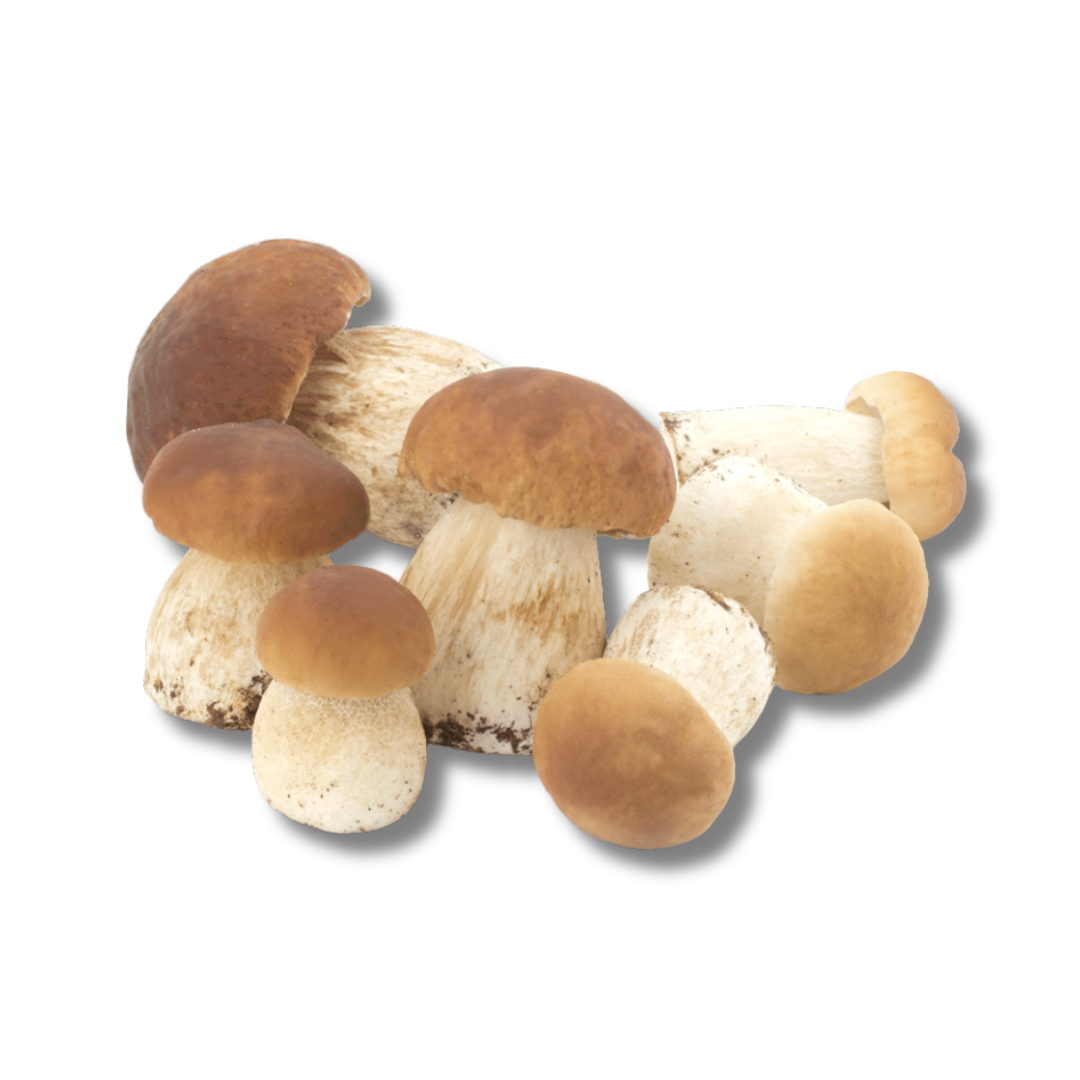 Porcini Mushrooms – Whole & Diced Frozen Premium Selection