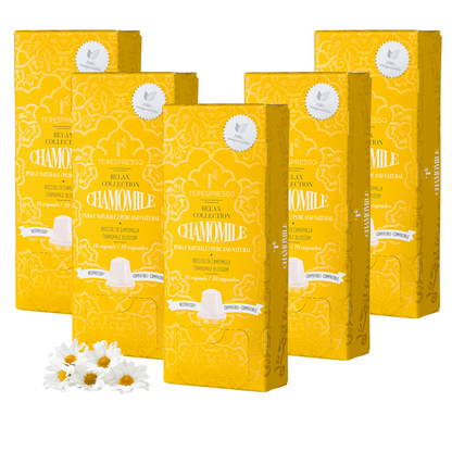 TeEspresso Chamomile Loose Leaf Tea Capsules -5 packs (50 capsules)