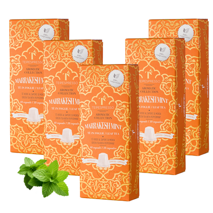 TeEspresso Marrakesh Mint Loose Leaf Tea Capsules -5 packs (50 capsules)