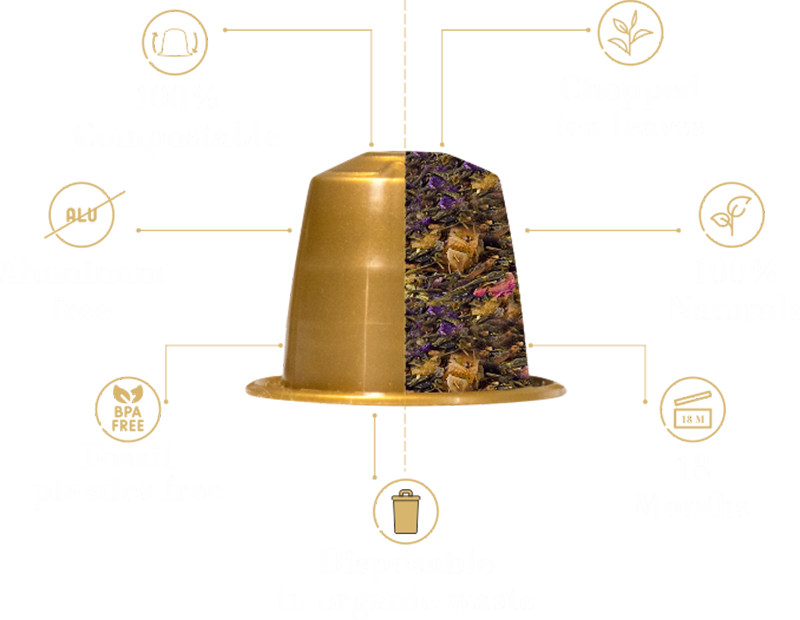 TeEspresso English Breakfast Loose Leaf Tea Capsules