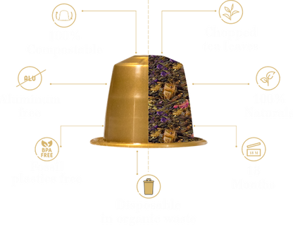 TeEspresso English Breakfast Loose Leaf Tea Capsules